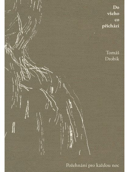 do vseho co prichazi potah new